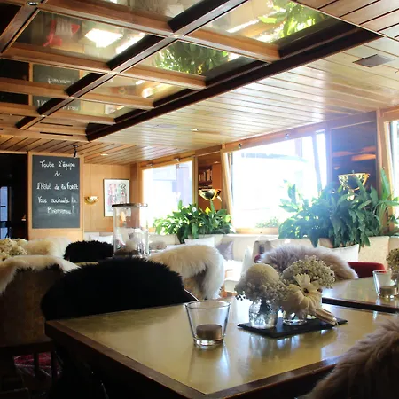 Hotel De La Foret 3*