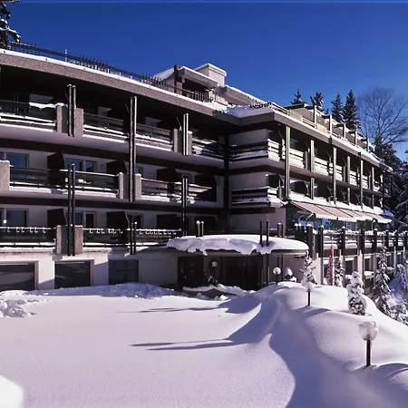 De La Forêt Hotel