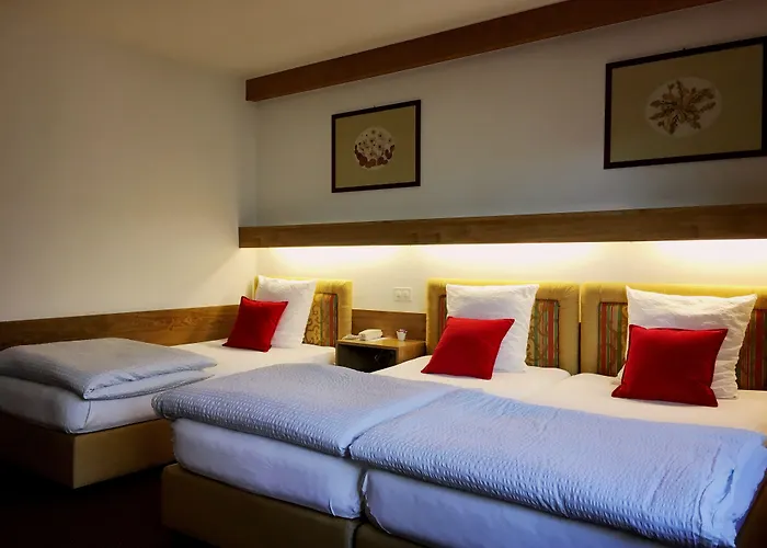 Szálloda De La Foret